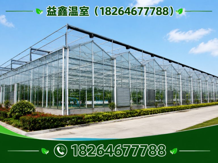 诸城市连栋温室展示图
